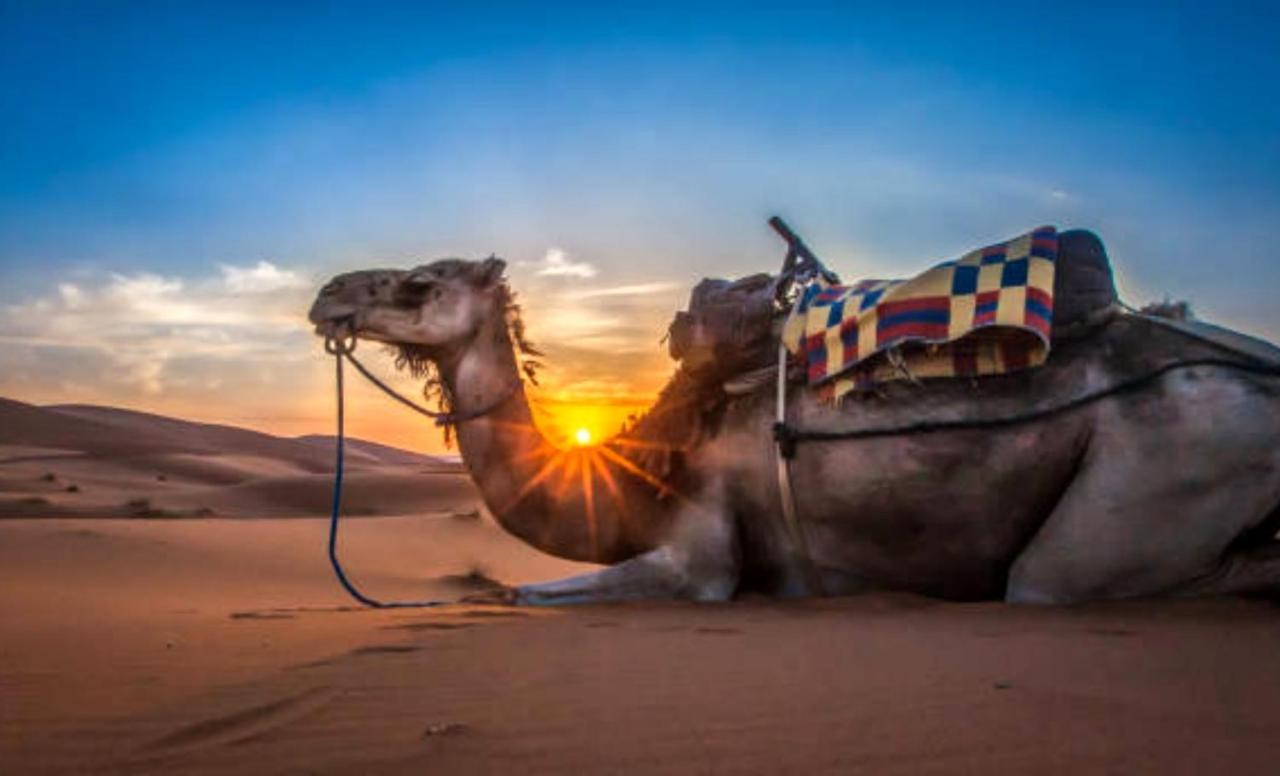 Holiday Desert Camp Merzouga Buitenkant foto